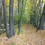 Nad Punkvou *