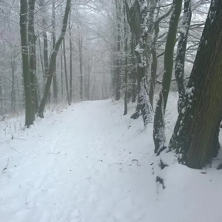 Nad Punkvou * Techov