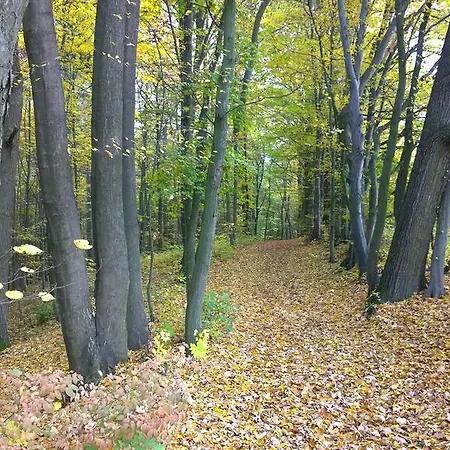 Nad Punkvou *