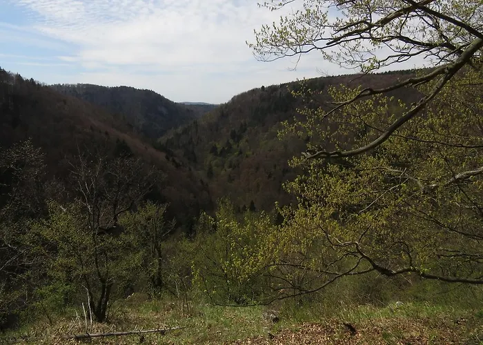 Daire Nad Punkvou Techov