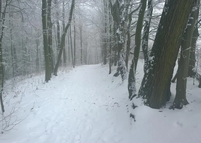 Nad Punkvou * Techov