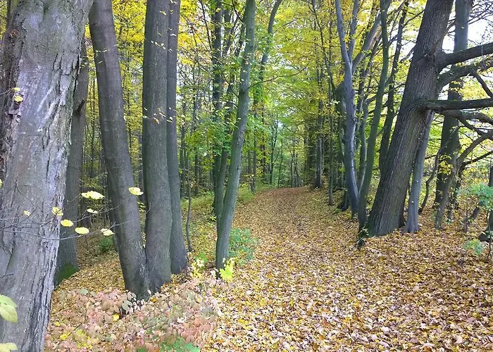 Nad Punkvou *